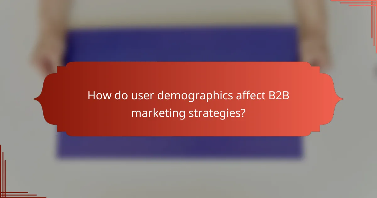How do user demographics affect B2B marketing strategies?